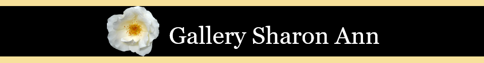Gallery Sharon Ann
